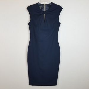 Ted Baker London Kezzia dress sz 2